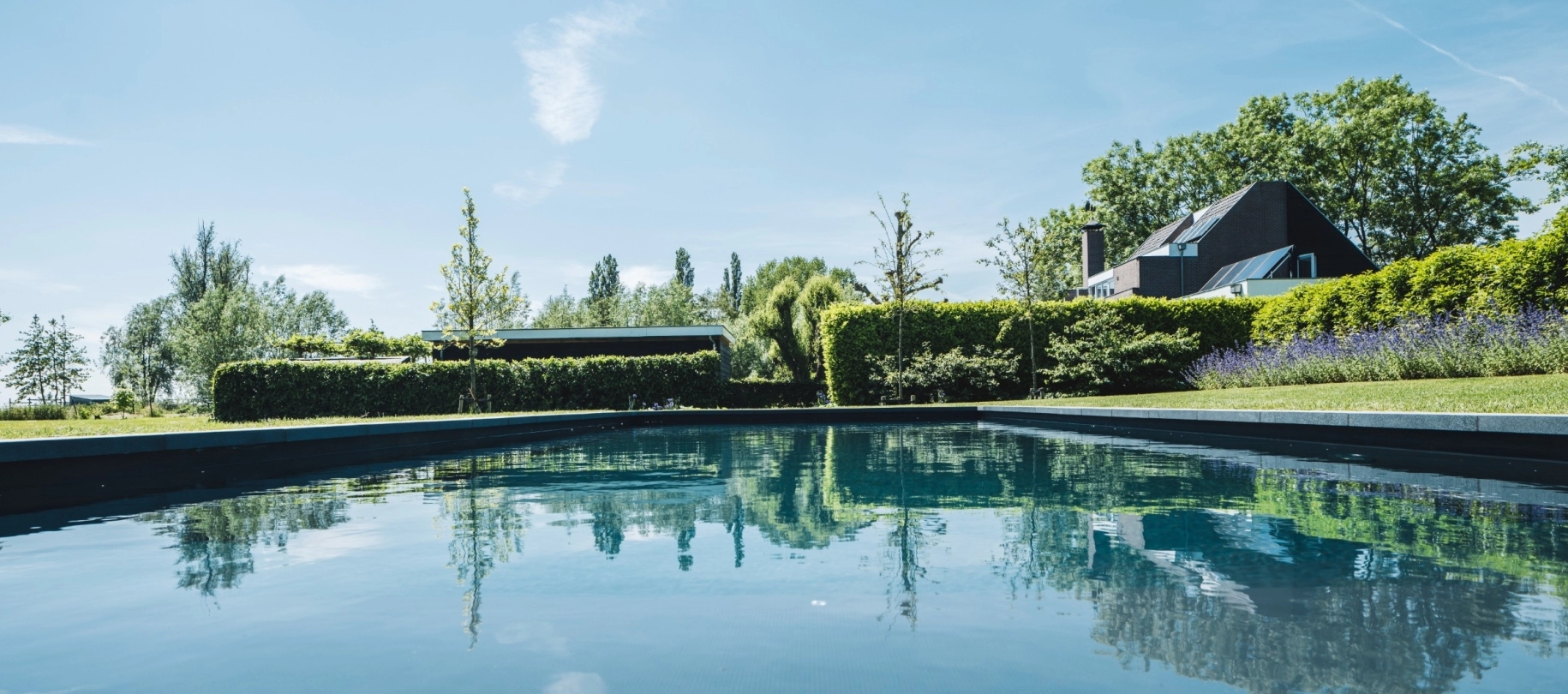 Natuurlijke zwemvijver gerealiseerd door Waterstijl in een prachtige tuin
